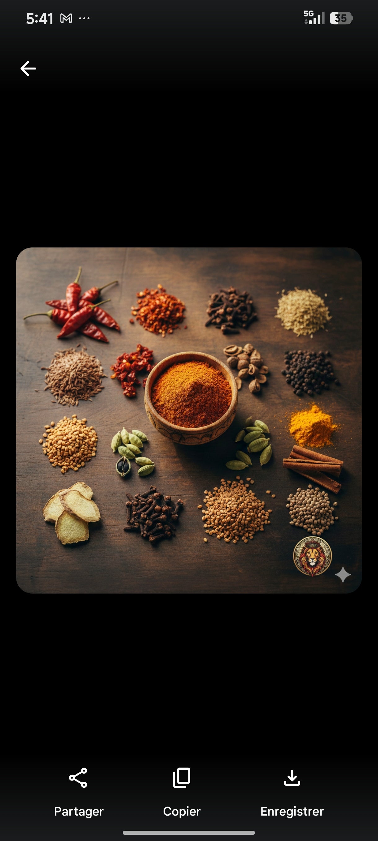 Berberé melange d'epices authentique d'Éthiopie - 100g: 🌶️🌶️ (Moyen)